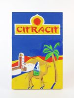 citracit_9-etude-pour-le-packaging-de-la-semoule-citracitvignette